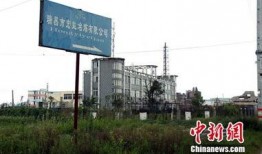 瑞昌最新爆料事件,揭秘事件背后惊人真相