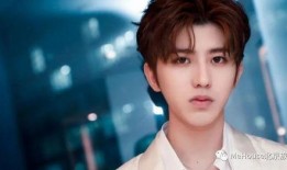 李京泽新专辑爆料视频,音乐盛宴即将开启，独家爆料揭秘创作幕后