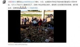 信阳学生家长爆料视频大全,揭示校园教育现状与家长心声