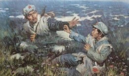 网红吃瓜长征路,揭秘娱乐圈幕后真相
