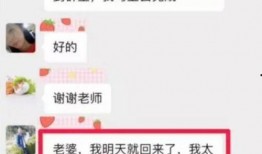 娱乐吃瓜酱家长文案,揭秘娱乐圈背后的温馨故事