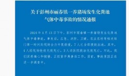 新闻爆料中毒事件最新,最新中毒事件调查进展揭秘”