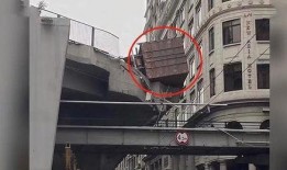 广州兄弟俩爆料新闻事件,揭秘背后惊人真相