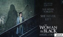 黑衣女人2在线观看,神秘续章，在线揭秘惊悚之谜