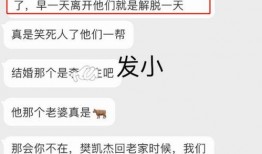 后援团最新爆料,揭秘明星幕后故事