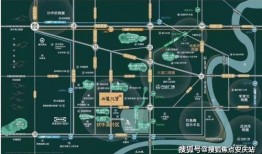 面馆爆料重庆最新消息新闻,揭秘山城美食新趋势