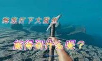孤岛求生爆料视频大全集,揭秘生存挑战全纪录