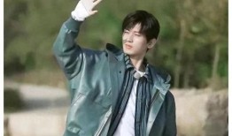 成毅天涯爆料视频,娱乐圈背后的惊人真相