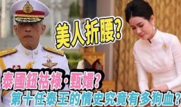 西拉米最新爆料,揭开娱乐圈背后惊人真相