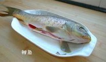 西北美食爆料视频,美食视频带你领略地道西北美食魅力