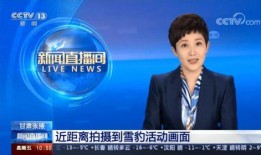 仁化媒体爆料新闻事件视频,新闻事件视频背后的真相