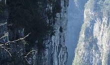 吃瓜最新事件爆料张家界,吃瓜群众揭秘最新神秘事件