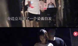 谢娜爆料董又霖视频,揭秘幕后趣事