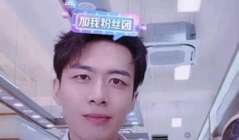 蔡天凤前任爆料视频播放,揭秘背后惊人真相