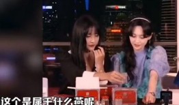 杭州燕窝姐姐爆料者视频,一场惊心动魄的幕后大戏