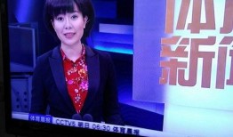 新闻爆料人叫什么名字,探寻背后神秘身影的真实身份
