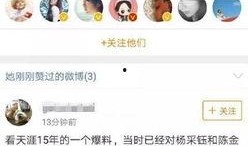 爆料娱乐圈帖子总汇,揭秘明星幕后故事