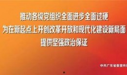 深圳高中爆料新闻事件,揭秘校园内幕事件