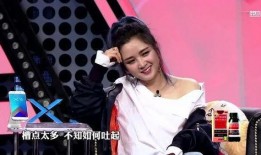 苏醒何洁爆料视频大全集,揭秘娱乐圈背后的真相