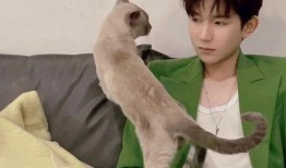 娱乐圈爽文爆料男主的小说,男主爆红背后的秘密