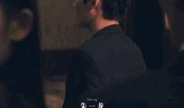 娱乐圈吃瓜爽文沙雕动画,沙雕动画背后的吃瓜盛宴