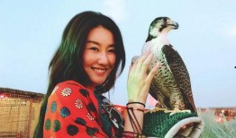 王宝强女友冯清爆料视频,揭秘娱乐圈背后的真相