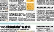 广州爆料新闻上什么网,揭秘网络平台背后的真相