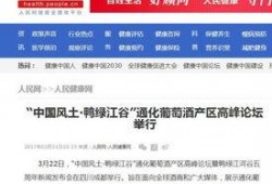 济宁网红爆料新闻报道,揭秘城市新热点背后的故事