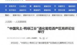 济宁网红爆料新闻报道,揭秘城市新热点背后的故事