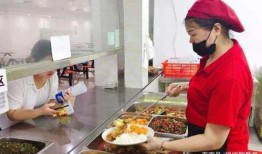 配餐爆料视频大全集最新,视频大全集深度解析