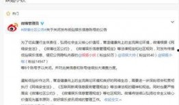 娱乐圈八卦爆料全集小说,揭秘明星背后的秘密风云