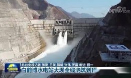 大坝新闻爆料视频,独家视频爆料背后的真相