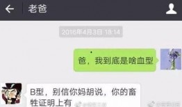 搞笑爆料新闻视频大全播放,笑料百出！搞笑爆料新闻视频大盘点