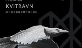 渡鸦在线观看,穿越时空的神秘之旅